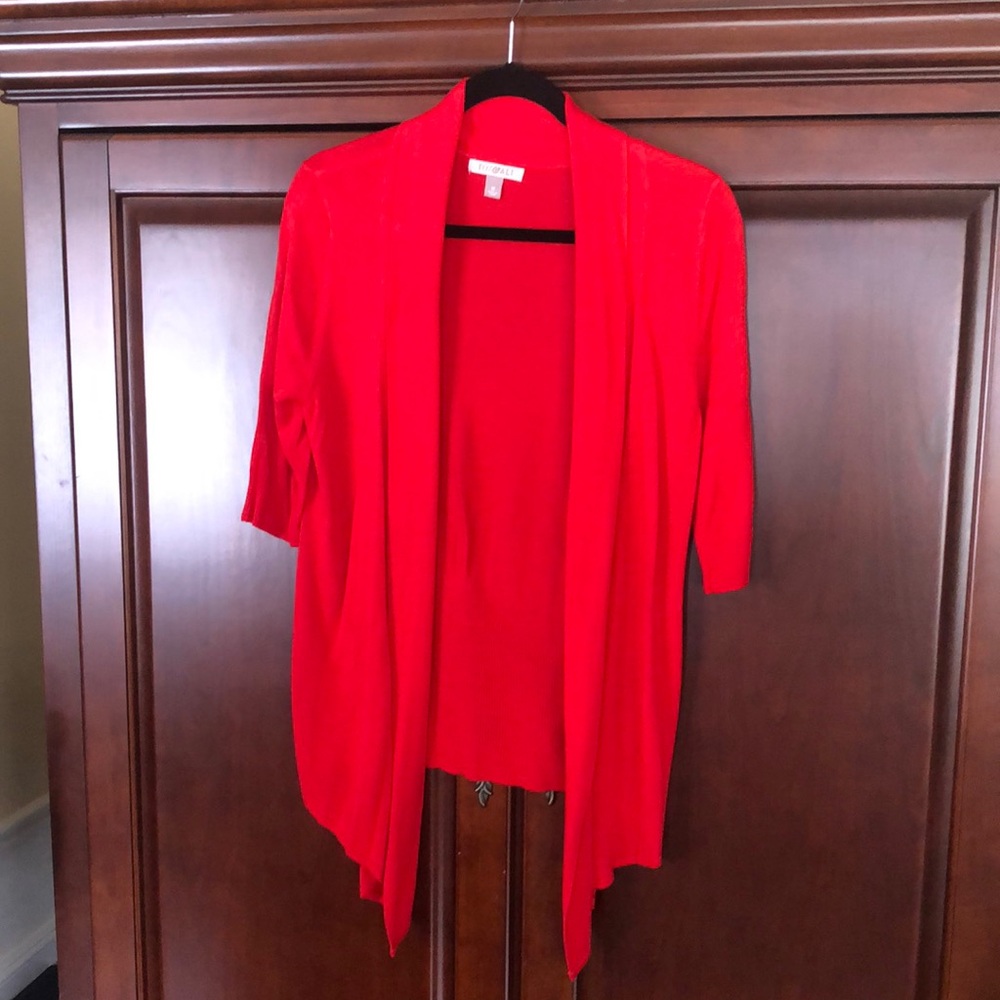 Red orange (poppy) sweater/topper.
